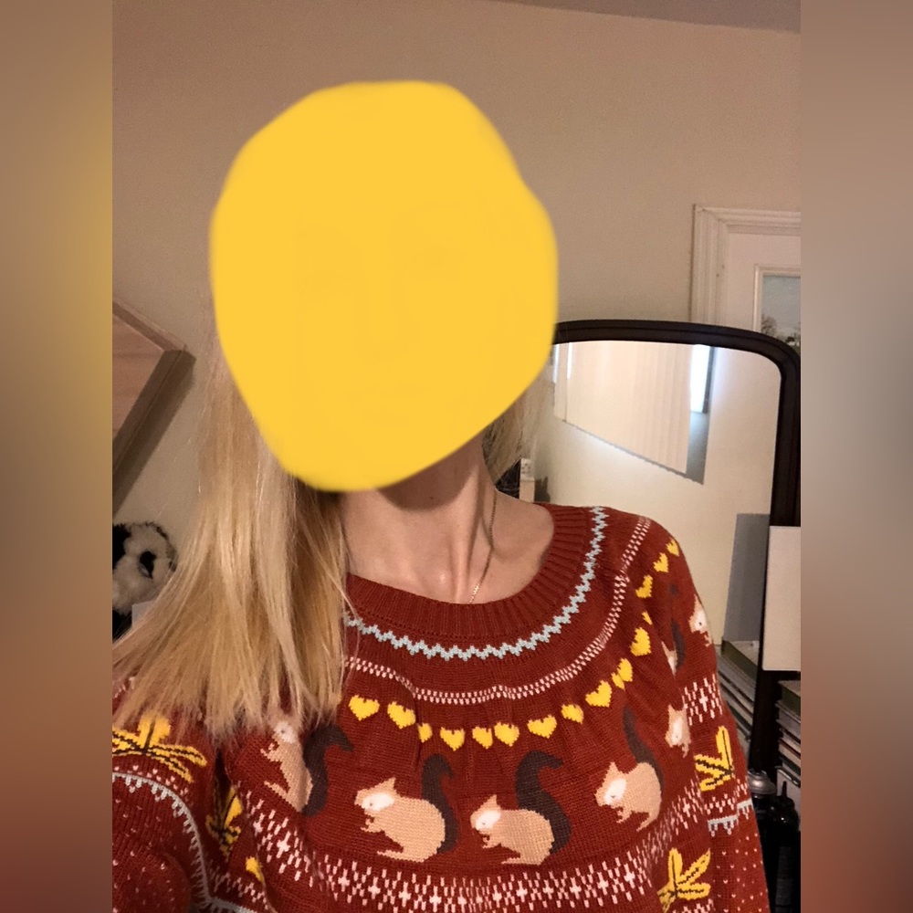 Cozy Squirrel Patterned Sweater - Red and Brown